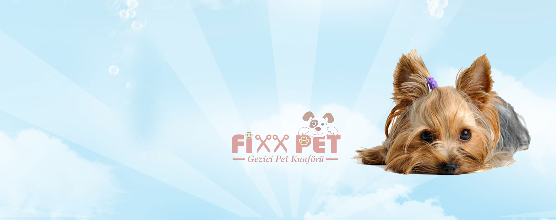 Fixx Pet